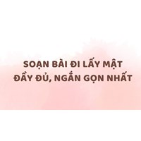 Soạn bài Đi lấy mật đầy đủ, ngắn gọn nhất