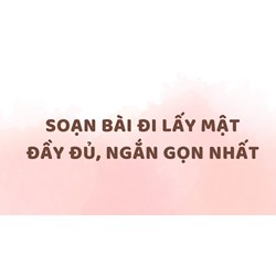 Soạn bài Đi lấy mật đầy đủ, ngắn gọn nhất