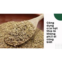 Công dụng của hạt thìa là không phải ai cũng biết