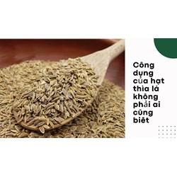Công dụng của hạt thìa là không phải ai cũng biết