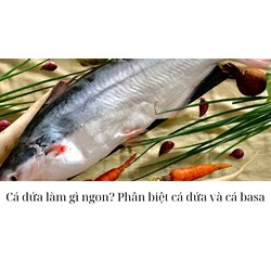 Cá dứa làm gì ngon? Phân biệt cá dứa và cá basa