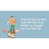 Hiệp hội thức ăn chăn nuôi Việt Nam là gì? Nhiệm vụ và quyền hạn của Hiệp hội?