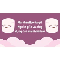Marshmallow là gì? Nguồn gốc và công dụng của marshmallow
