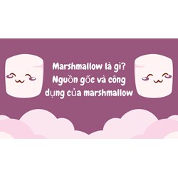 Marshmallow là gì? Nguồn gốc và công dụng của marshmallow