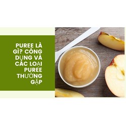 Puree là gì? Công dụng và các loại puree thường gặp