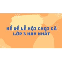 Kể về lễ hội chọi gà lớp 3 hay nhất
