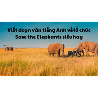 Viết đoạn văn tiếng Anh về tổ chức Save the Elephants siêu hay