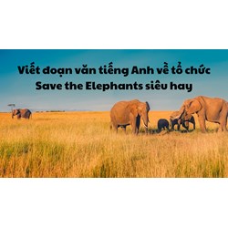 Viết đoạn văn tiếng Anh về tổ chức Save the Elephants siêu hay