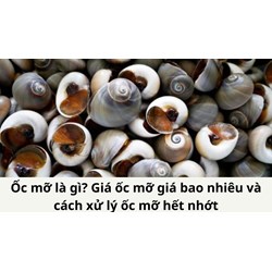 Ốc mỡ là gì? Giá ốc mỡ giá bao nhiêu và cách xử lý ốc mỡ hết nhớt