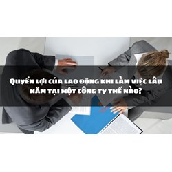 Quyền lợi của lao động khi làm việc lâu năm tại một công ty thế nào?