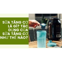 Sữa tăng cơ là gì? Tác dụng của Sữa tăng cơ như thế nào?