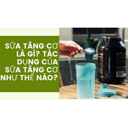 Sữa tăng cơ là gì? Tác dụng của Sữa tăng cơ như thế nào?