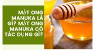 Mật ong manuka là gì? Mật ong manuka có tác dụng gì?