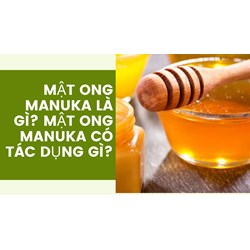 Mật ong manuka là gì? Mật ong manuka có tác dụng gì?