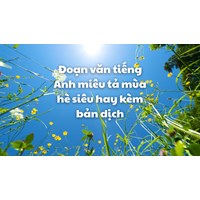 Đoạn văn tiếng Anh miêu tả mùa hè siêu hay kèm bản dịch