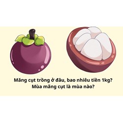 Măng cụt trồng ở đâu, bao nhiêu tiền 1kg? Mùa măng cụt là mùa nào?