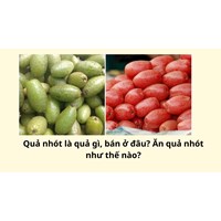 Quả nhót là quả gì, bán ở đâu? Ăn quả nhót như thế nào?