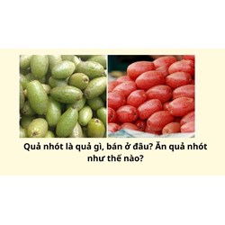 Quả nhót là quả gì, bán ở đâu? Ăn quả nhót như thế nào?