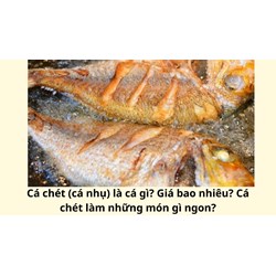 Cá chét (cá nhụ) là cá gì? Giá bao nhiêu? Cá chét làm những món gì ngon?