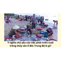 Ý nghĩa chủ yếu của việc phát triển nuôi trồng thủy sản ở Bắc Trung Bộ là gì?