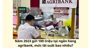 Gửi 100 triệu tại ngân hàng agribank mức lãi suất bao nhiêu?
