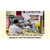 Gửi 100 triệu tại ngân hàng agribank mức lãi suất bao nhiêu?