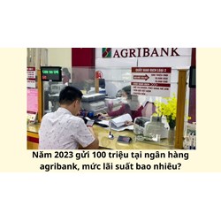 Gửi 100 triệu tại ngân hàng agribank mức lãi suất bao nhiêu?