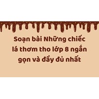 Soạn bài Những chiếc lá thơm tho lớp 8 ngắn gọn và đầy đủ nhất