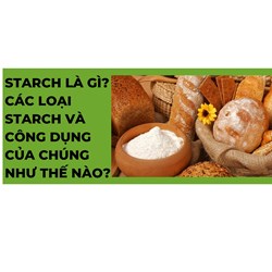 Starch là gì? Các loại starch và công dụng của chúng như thế nào?