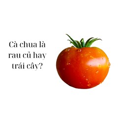 Cà chua là rau củ hay trái cây?