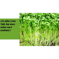 Có nên cho trẻ ăn rau mầm hay không?