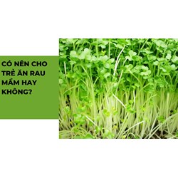 Có nên cho trẻ ăn rau mầm hay không?