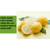 Công dụng của chanh vàng Đà Lạt không phải ai cũng biết
