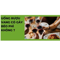 Uống rượu vang có gây béo phì không ?