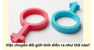 Việc chuyển đổi giới tính diễn ra như thế nào?