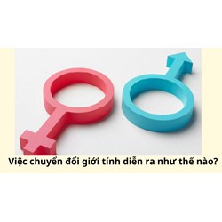 Việc chuyển đổi giới tính diễn ra như thế nào?