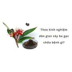Theo kinh nghiệm dân gian cây ba gạc chữa bệnh gì?