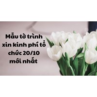 Mẫu tờ trình xin kinh phí tổ chức 20/10 mới nhất 2024