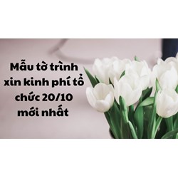 Mẫu tờ trình xin kinh phí tổ chức 20/10 mới nhất 2024