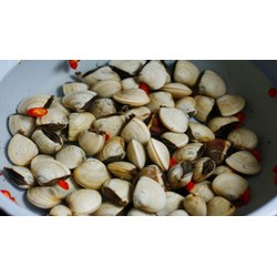 Cách chọn mua, làm sạch và bảo quản nghêu (ngao) sạch, an toàn