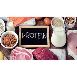 Cơ thể thiếu protein gây ra bệnh gì?
