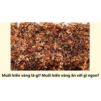 Muối kiến vàng là gì? Muối kiến vàng ăn với gì ngon?