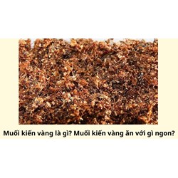Muối kiến vàng là gì? Muối kiến vàng ăn với gì ngon?