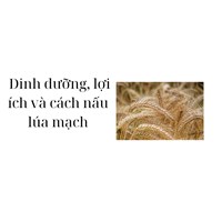 Dinh dưỡng, lợi ích và cách nấu lúa mạch