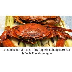 Cua biển làm gì ngon? Tổng hợp các món ngon từ cua biển dễ làm, thơm ngon