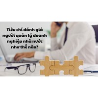 Tiêu chí đánh giá người quản lý doanh nghiệp nhà nước như thế nào?