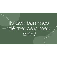 Mách bạn mẹo để trái cây mau chín?