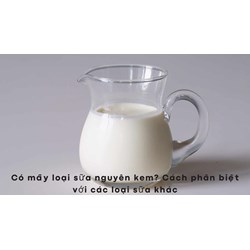 Có mấy loại sữa nguyên kem? Cách phân biệt với các loại sữa khác
