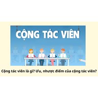 Cộng tác viên là gì? Ưu, nhược điểm của cộng tác viên?