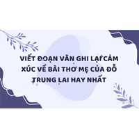 Viết đoạn văn ghi lại cảm xúc về bài thơ Mẹ của Đỗ Trung Lai hay nhất